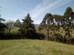 Fazenda / Sítio / Chácara com 2 Quartos à venda, 20000m² no Area Rural de Sao Jose dos Pinhais, São José dos Pinhais - Foto 24