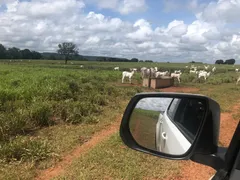 Fazenda / Sítio / Chácara com 7 Quartos à venda no , Goiatins - Foto 10