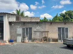 Fazenda / Sítio / Chácara com 2 Quartos à venda, 5000m² no Recreio das Acácias, Ribeirão Preto - Foto 14