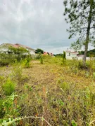 Terreno / Lote / Condomínio à venda, 450m² no Jardim Maluche, Brusque - Foto 1