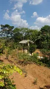 Fazenda / Sítio / Chácara com 3 Quartos à venda, 450m² no Jardim Nova Ipelandia, Suzano - Foto 12