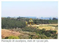 Fazenda / Sítio / Chácara à venda, 800m² no LIMEIRA , Limeira - Foto 11