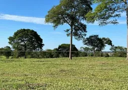 Fazenda / Sítio / Chácara com 4 Quartos à venda, 600m² no Sobradinho, Brasília - Foto 8