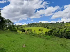 Fazenda / Sítio / Chácara com 2 Quartos à venda, 70m² no Zona Rural, São Miguel Arcanjo - Foto 11