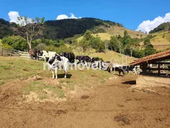 Fazenda / Sítio / Chácara com 5 Quartos à venda, 100000m² no , Virgínia - Foto 16