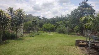 Fazenda / Sítio / Chácara com 4 Quartos à venda, 84000m² no Parque Nossa Senhora da Candelária, Itu - Foto 19