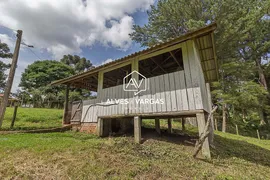 Fazenda / Sítio / Chácara com 4 Quartos à venda, 300m² no Jardim da Colina, Campina Grande do Sul - Foto 54