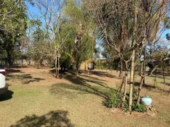 Fazenda / Sítio / Chácara com 2 Quartos à venda, 5000m² no Terra de Sao Lucas Zona Rural, São José do Rio Preto - Foto 12