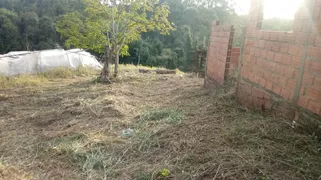 Fazenda / Sítio / Chácara com 2 Quartos à venda, 80m² no Zona Rural, São Miguel Arcanjo - Foto 8