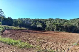 Fazenda / Sítio / Chácara à venda, 30000m² no Zona Rural, Pato Branco - Foto 7