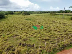 Fazenda / Sítio / Chácara com 3 Quartos à venda, 100m² no Centro, Alagoa Nova - Foto 23