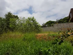 Terreno / Lote / Condomínio à venda, 1300m² no Granja Caiapiá, Cotia - Foto 8