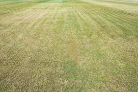 Terreno / Lote / Condomínio à venda, 200m² no Jardim Santa Cecilia, Ribeirão Preto - Foto 1