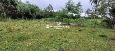 Fazenda / Sítio / Chácara à venda, 60260m² no Vila Jardim, Gramado - Foto 44