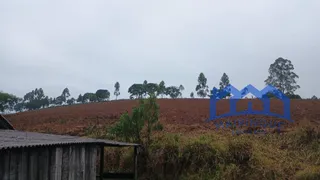 Fazenda / Sítio / Chácara com 2 Quartos à venda, 1200000m² no Zona Rural, Piedade - Foto 12