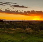 Terreno / Lote / Condomínio à venda, 400000m² no , Encruzilhada do Sul - Foto 12