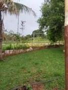 Fazenda / Sítio / Chácara com 3 Quartos à venda, 5000m² no Jardim Veneza, São José do Rio Preto - Foto 9
