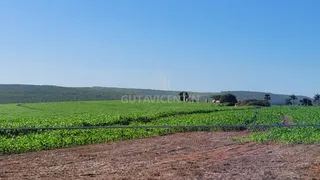 Fazenda / Sítio / Chácara com 3 Quartos à venda, 37m² no Centro, Avaí - Foto 11