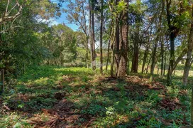 Terreno / Lote / Condomínio à venda, 1124m² no Centro, São José dos Pinhais - Foto 7