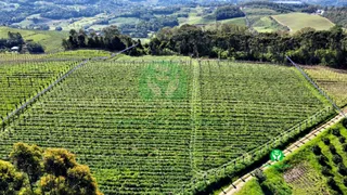 Fazenda / Sítio / Chácara à venda, 95000m² no Zona Rural, Monte Belo do Sul - Foto 1