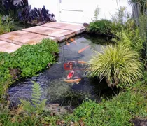 Casa com 5 Quartos à venda, 500m² no Estância das Flores, Jaguariúna - Foto 8