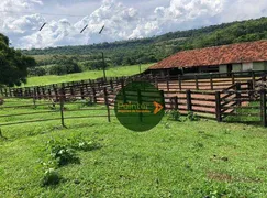 Fazenda / Sítio / Chácara com 2 Quartos à venda, 11083600m² no Zona Rural, Prata - Foto 2
