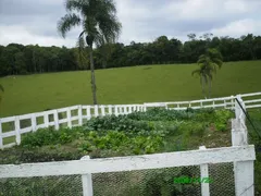 Fazenda / Sítio / Chácara com 2 Quartos à venda, 420m² no 4 Km do Centro, Embu-Guaçu - Foto 13