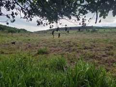 Terreno / Lote / Condomínio à venda, 180000m² no Zona Rural, Passa Tempo - Foto 6