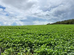 Fazenda / Sítio / Chácara à venda no Zona Rural, Itiquira - Foto 28