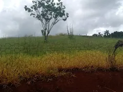 Fazenda / Sítio / Chácara com 2 Quartos à venda, 80m² no Area Rural de Itapetininga, Itapetininga - Foto 5