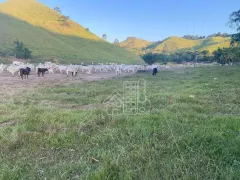 Fazenda / Sítio / Chácara com 3 Quartos à venda, 1000m² no Boa Esperança, Rio Bonito - Foto 12