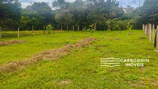 Fazenda / Sítio / Chácara com 40 Quartos à venda, 1000m² no Tataúba, Caçapava - Foto 1