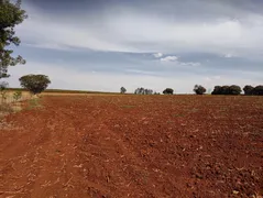 Fazenda / Sítio / Chácara com 6 Quartos à venda, 193600m² no Zona Rural, Altinópolis - Foto 1