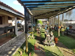 Fazenda / Sítio / Chácara com 4 Quartos à venda, 350m² no Fazenda Velha, Pinhalzinho - Foto 3