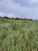 Fazenda / Sítio / Chácara com 3 Quartos à venda, 20000m² no Zona Rural, Monte Alegre - Foto 18