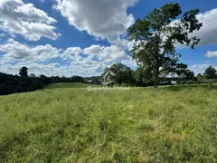 Terreno / Lote / Condomínio à venda, 50000m² no São Ciro, Caxias do Sul - Foto 1