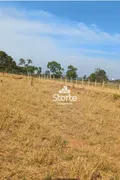 Fazenda / Sítio / Chácara à venda, 1000m² no , Campo Florido - Foto 2