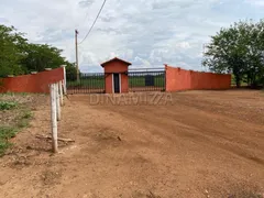 Fazenda / Sítio / Chácara com 3 Quartos à venda, 200m² no , Conceição das Alagoas - Foto 4