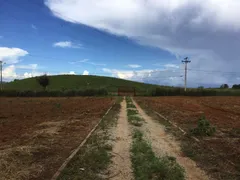 Fazenda / Sítio / Chácara com 3 Quartos à venda, 9500m² no Area Rural de Ceilandia, Brasília - Foto 16
