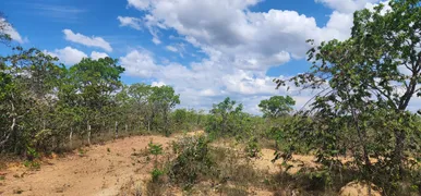 Fazenda / Sítio / Chácara à venda, 20000m² no Zona Rural, Baldim - Foto 18