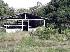 Fazenda / Sítio / Chácara com 5 Quartos à venda, 480000m² no Posse, Petrópolis - Foto 16