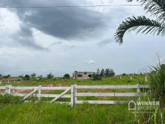 Fazenda / Sítio / Chácara com 3 Quartos à venda, 120m² no , Amaporã - Foto 2