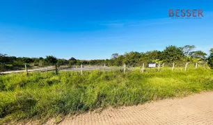 Terreno / Lote / Condomínio para alugar, 5000m² no Nova Sapucaia, Sapucaia do Sul - Foto 3