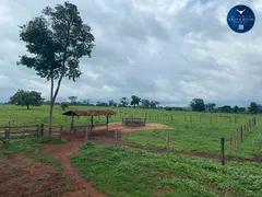Fazenda / Sítio / Chácara à venda no Zona Rural, Jaraguá - Foto 2