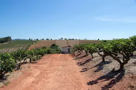 Fazenda / Sítio / Chácara à venda, 57800m² no Centro, Morungaba - Foto 22