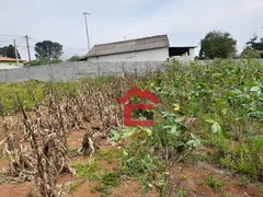 Terreno / Lote / Condomínio à venda, 1000m² no Votorantim, Ibiúna - Foto 8