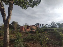 Fazenda / Sítio / Chácara com 3 Quartos à venda, 5000m² no Area Rural do Paranoa, Brasília - Foto 16
