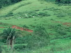 Fazenda / Sítio / Chácara à venda, 2516800m² no Centro, Conceição de Macabu - Foto 11