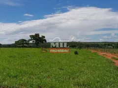 Fazenda / Sítio / Chácara com 4 Quartos à venda, 242000m² no Zona Rural, Bonfinópolis - Foto 7