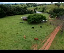 Fazenda / Sítio / Chácara à venda no Zona Rural, Jaraguá - Foto 1